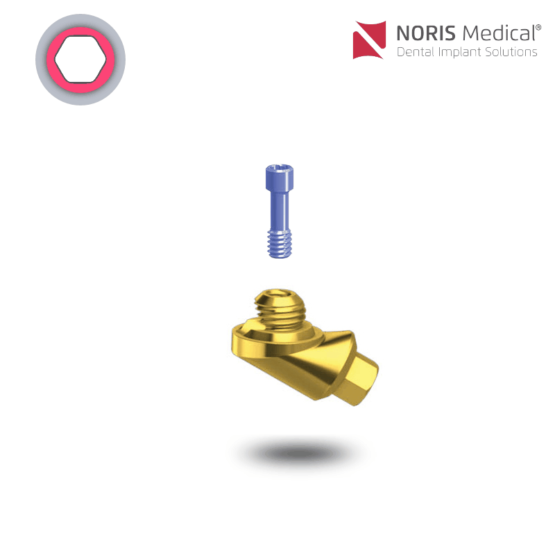 Noris Medical Vari-Connect Basis | 60° | GH: 2,0 mm Noris Medical Vari-Connect Basis | 60° | GH: 2,0 mm
