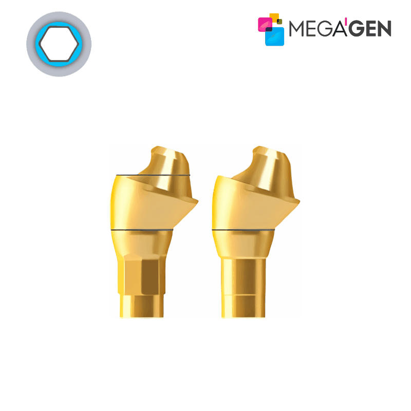 MegaGen Multi-Unit Abutment (N_Type) | 17° | GH: 4,5 mm | ohne Rotationsschutz MegaGen Multi-Unit Abutment (N_Type) | 17° | GH: 4,5 mm | ohne Rotationsschutz