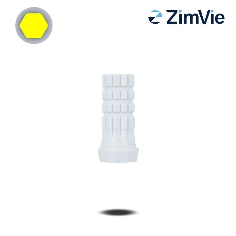 Biomet 3i PreFormance Zylinderprovisorium (Ext Hex, 5,0 mm) | mit Rotationsschutz | PEEK