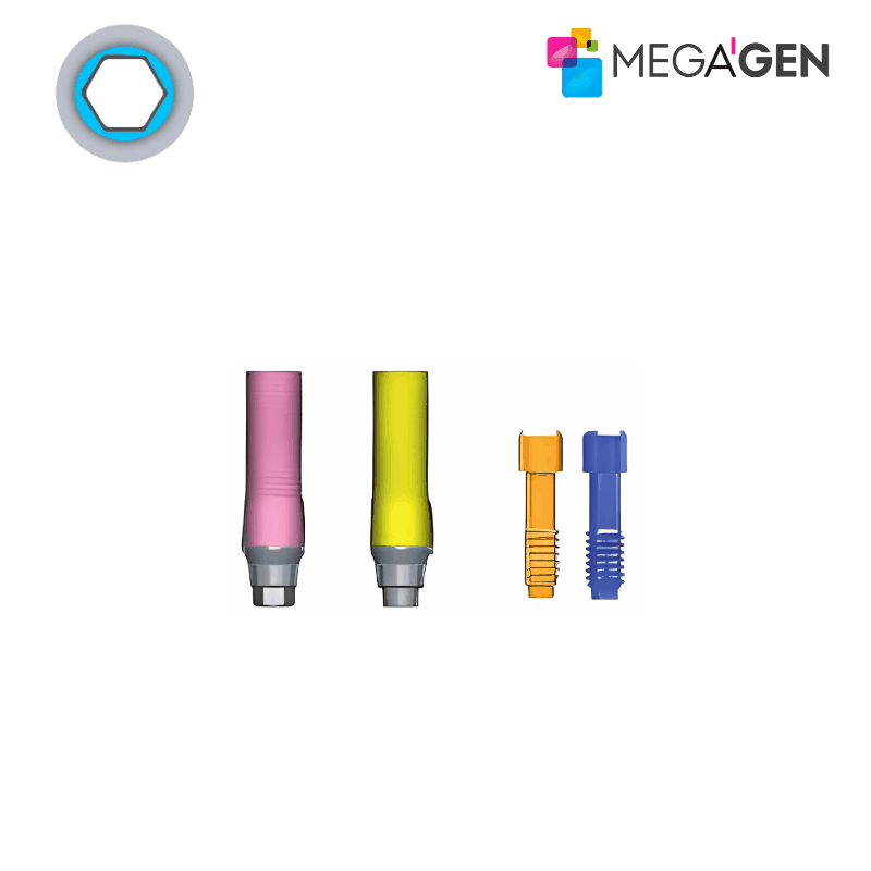 MegaGen Ausbrennbares Abutment | CCM | mit Rotationsschutz