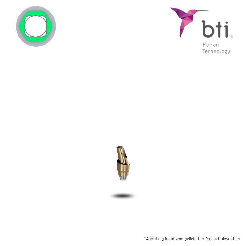 BTI Titan-Abutment (Ø 5,5 mm - breit) BTI Titan-Abutment (Ø 5,5 mm - breit)