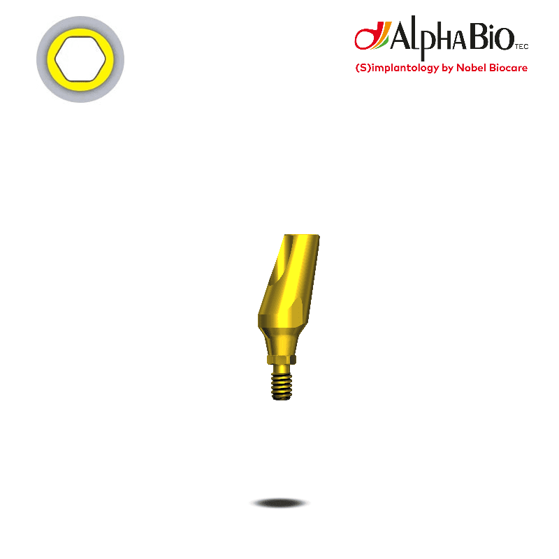 Esthetic Standard Abutment (CHC)