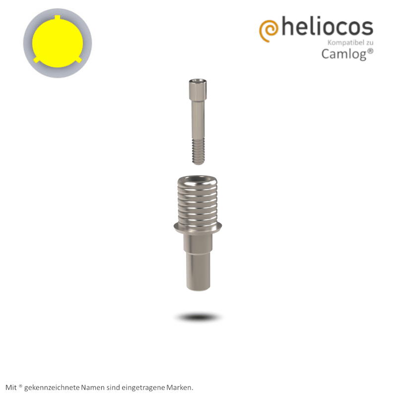 Camlog® Titanbasis Screw-Line/Root-Line2® Ø 3,8 mm | Höhe: 4,0 mm | ohne Rotationsschutz Camlog® Titanbasis Screw-Line/Root-Line2® Ø 3,8 mm | Höhe: 4,0 mm | ohne Rotationsschutz