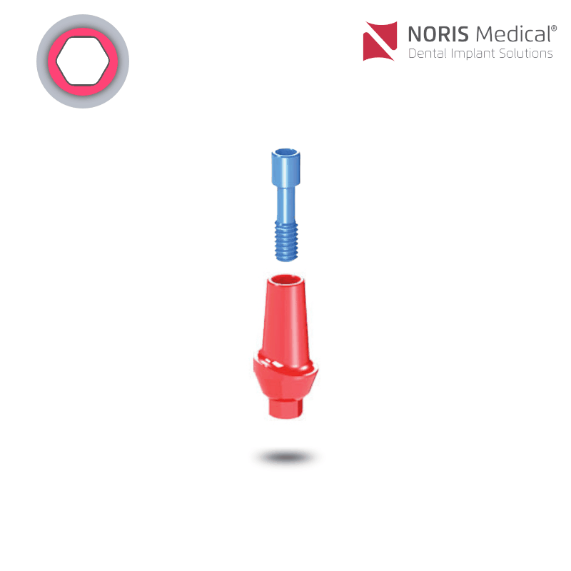 Noris Medical Ausbrennbares anatomisches Abutment | 0° | GH: 2,0 mm Noris Medical Ausbrennbares anatomisches Abutment | 0° | GH: 2,0 mm