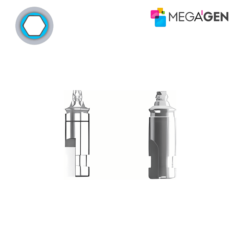 MegaGen EZ Crown Laboranalog