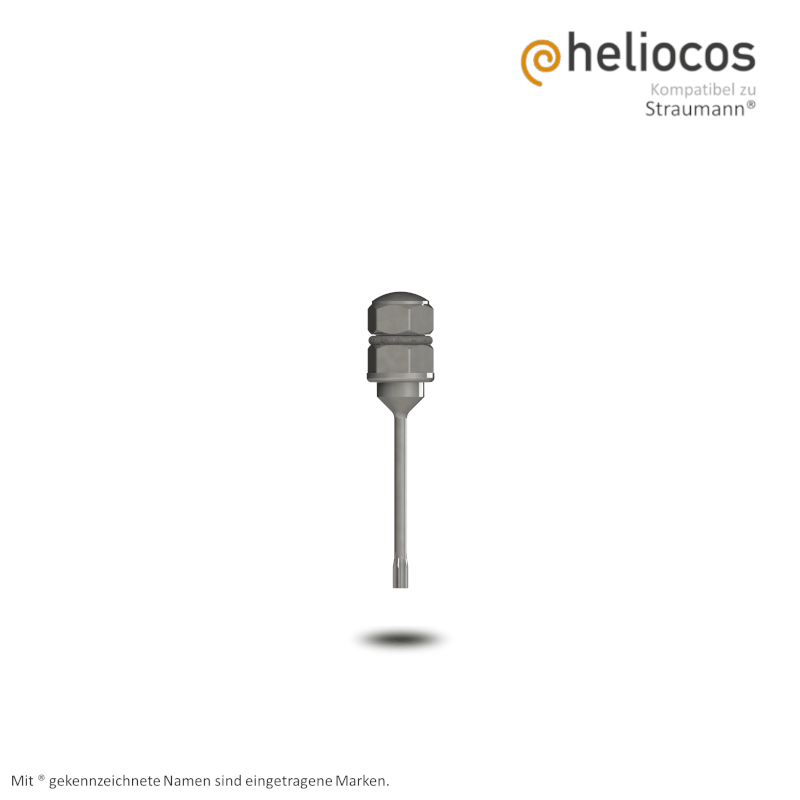 Eindrehinstrument mit Torx® T6 für Ratsche Straumann® | Länge: 25,0 mm Eindrehinstrument mit Torx® T6 für Ratsche Straumann® | Länge: 25,0 mm