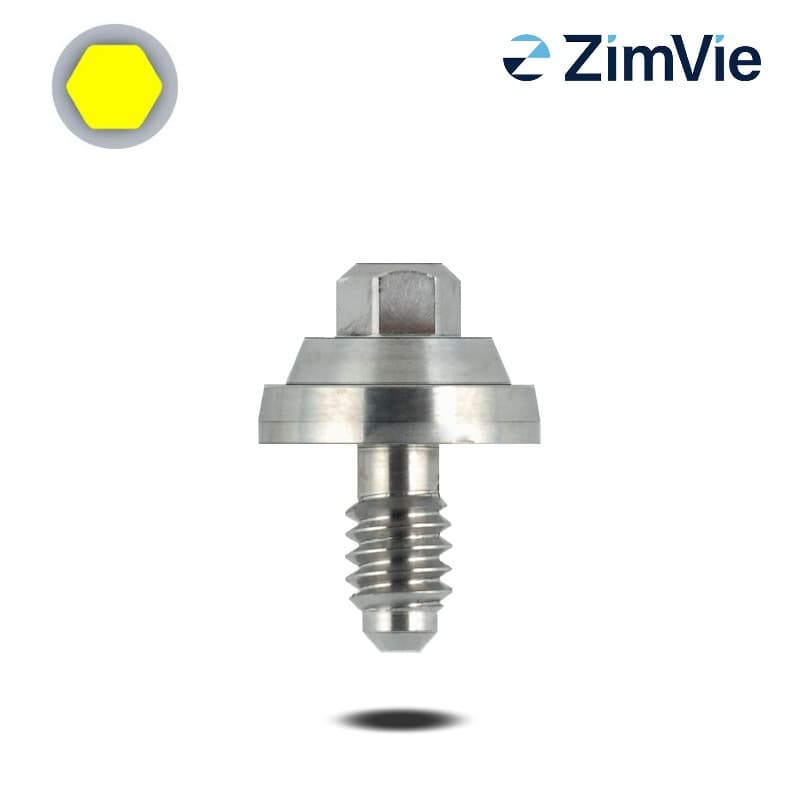 Biomet 3i Multi-Unit Abutment (Ext Hex, 5,0 mm) | Zweiteilig | 0° | GH: 1,0 mm