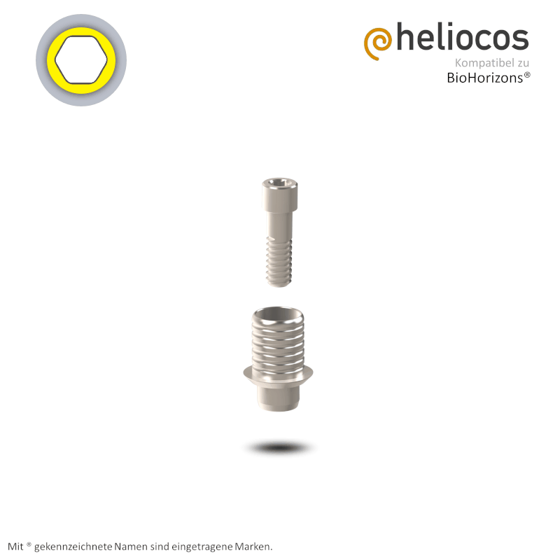 Zimmer® Titanbasis Tapered Screw Vent® Ø 3,5 mm | Höhe: 4,0 mm | ohne Rotationsschutz Zimmer® Titanbasis Tapered Screw Vent® Ø 3,5 mm | Höhe: 4,0 mm | ohne Rotationsschutz