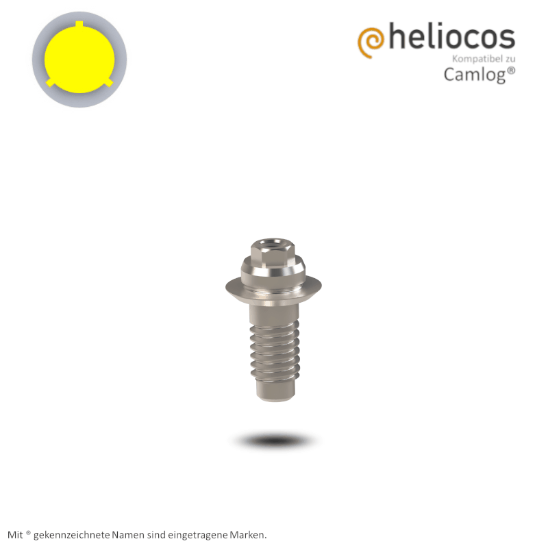 Camlog® Multi Unit Abutment Screw-Line/Root-Line2® Ø 3,8 mm | GH: 0,5 mm Camlog® Multi Unit Abutment Screw-Line/Root-Line2® Ø 3,8 mm | GH: 0,5 mm