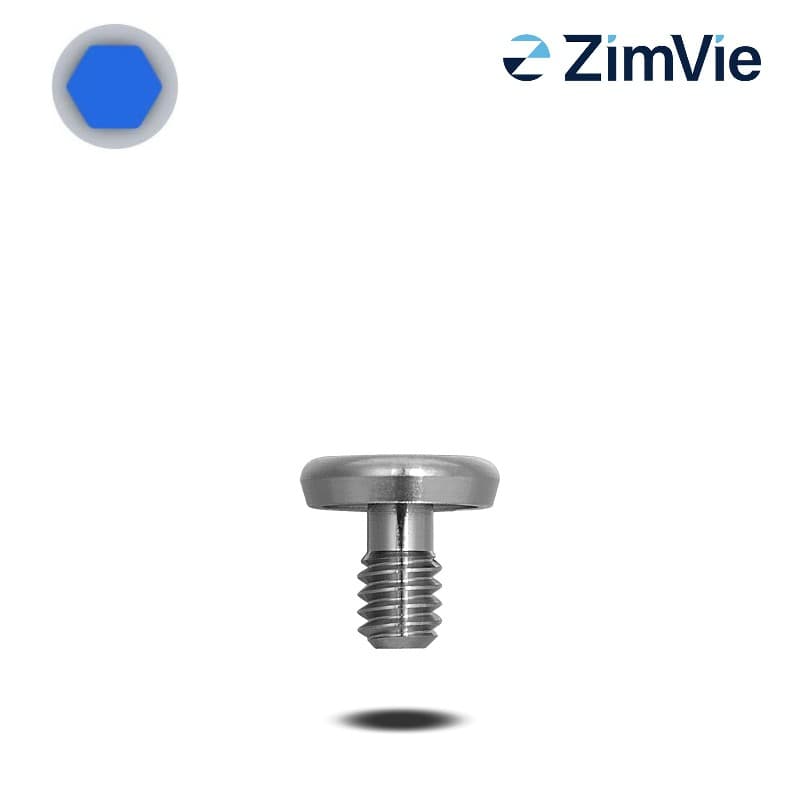 Biomet 3i Deckschraube (Ext Hex, 4,1 mm) | Standard