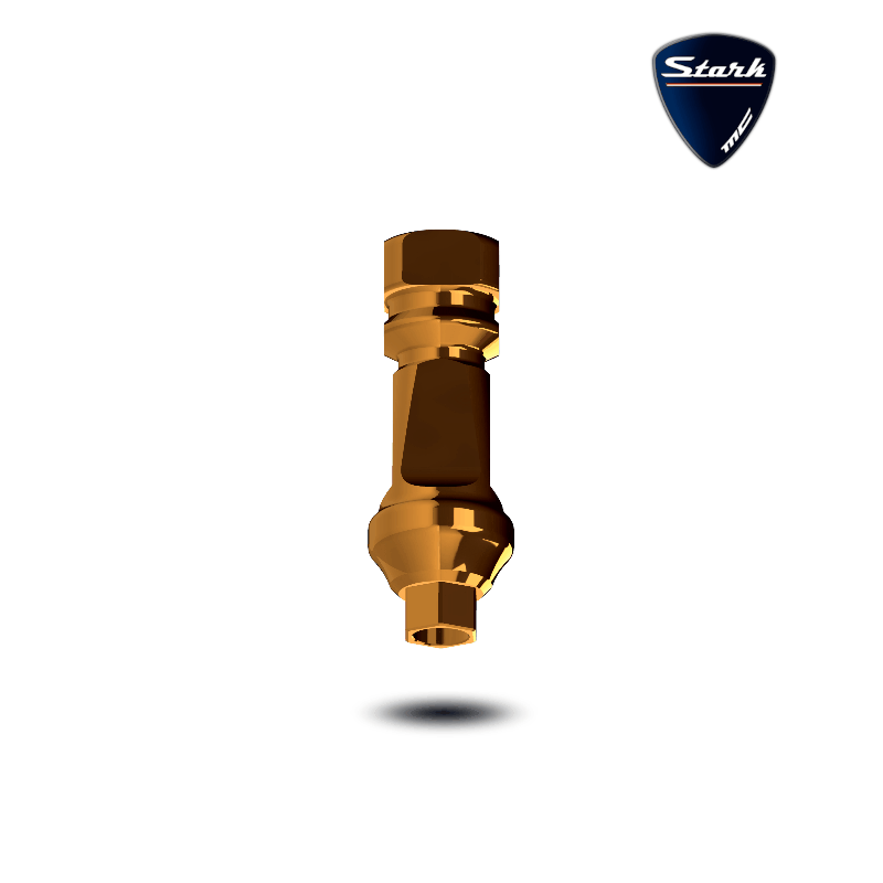 Stark Gerades Abutment mit Plattform Switch Stark Gerades Abutment mit Plattform Switch