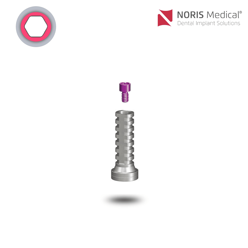 Noris Medical Multi-Unit Zylinder | Titan | Ø 3,3 mm | mit Halteschraube Noris Medical Multi-Unit Zylinder | Titan | Ø 3,3 mm | mit Halteschraube