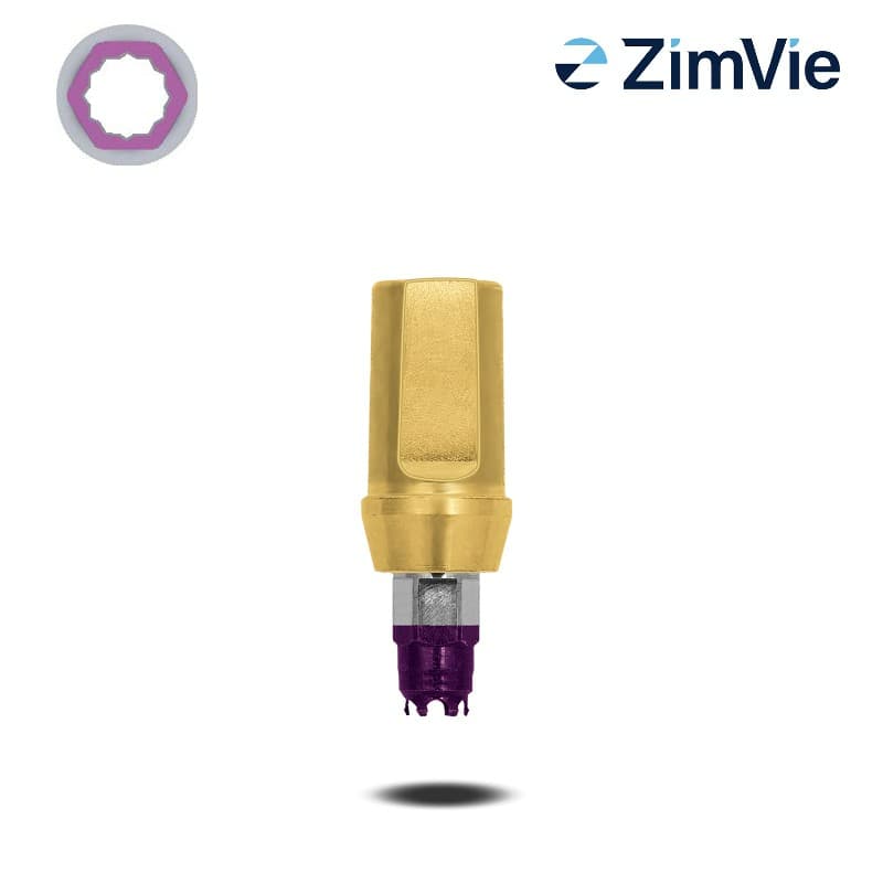Biomet 3i Abutment (GingiHue-Pfosten) (Certain, 3,4 mm) | 0° | Ø 3,8 mm | GH: 4,0 mm Biomet 3i Abutment (GingiHue-Pfosten) (Certain, 3,4 mm) | 0° | Ø 3,8 mm | GH: 4,0 mm