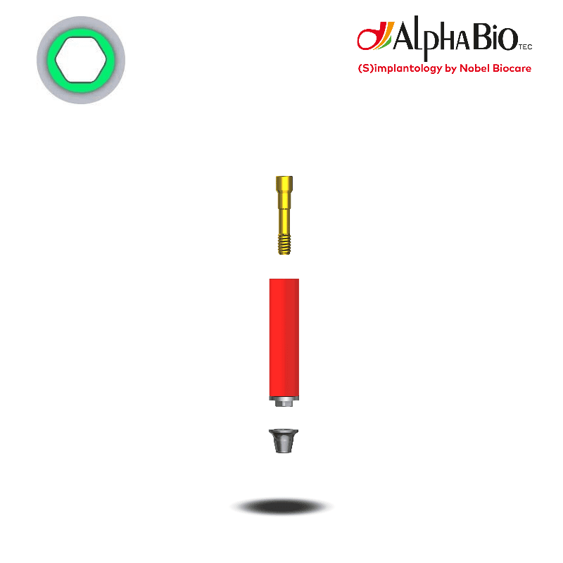 Nobel Biocare Angussfähiges Abutment (CS) | ohne Rotationsschutz Nobel Biocare Angussfähiges Abutment (CS) | ohne Rotationsschutz