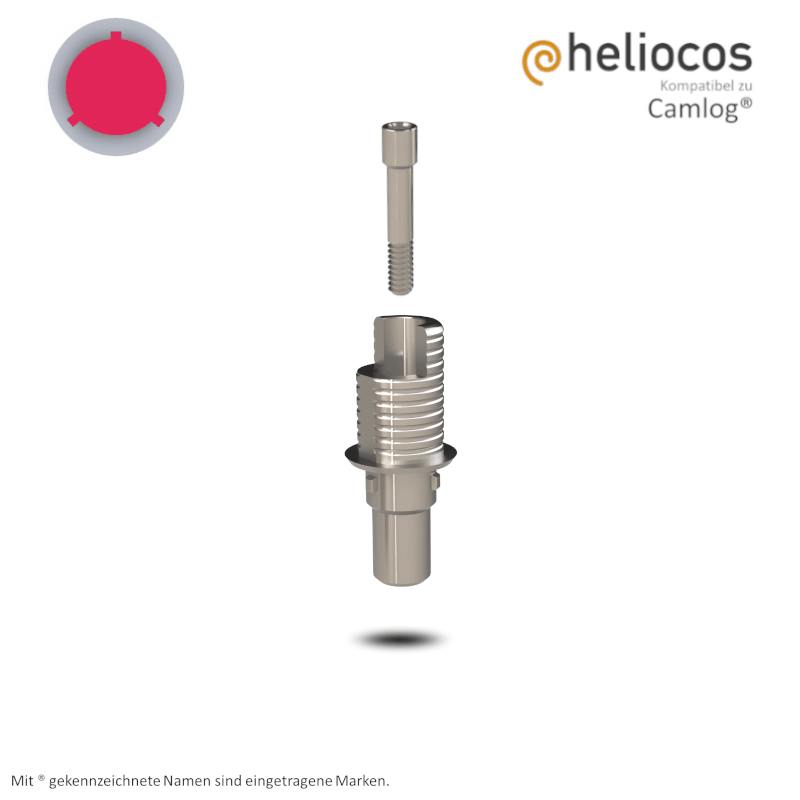 Camlog® Titanbasis Screw-Line/Root-Line2® Ø 4,3 mm | Höhe: 5,5 mm | mit Rotationsschutz Camlog® Titanbasis Screw-Line/Root-Line2® Ø 4,3 mm | Höhe: 5,5 mm | mit Rotationsschutz