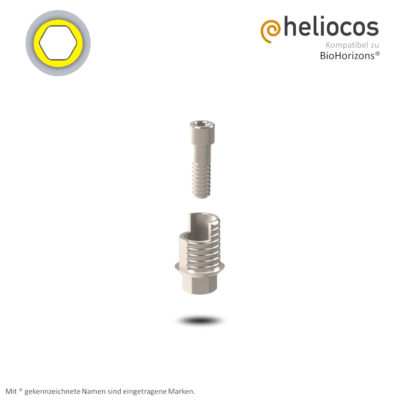 Zimmer® Titanbasis Tapered Screw Vent® Ø 3,5 mm | Höhe: 4,0 mm | mit Rotationsschutz Zimmer® Titanbasis Tapered Screw Vent® Ø 3,5 mm | Höhe: 4,0 mm | mit Rotationsschutz