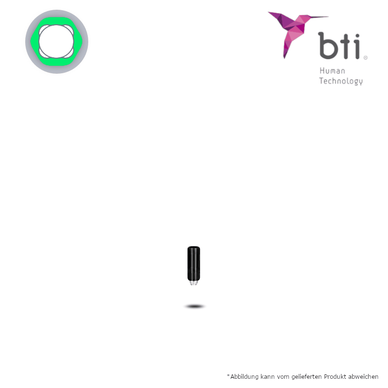 BTI UCLA-Abutment (Ø 5,5 mm - breit) BTI UCLA-Abutment (Ø 5,5 mm - breit)