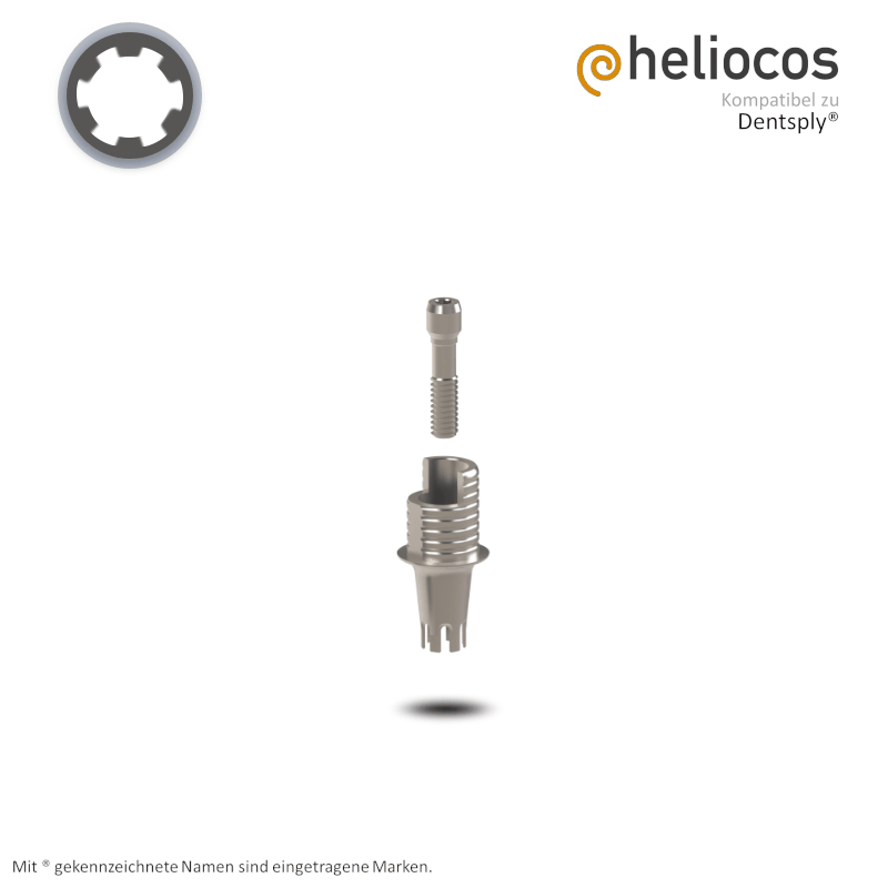 Dentsply® Titanbasis Ankylos® | Höhe: 4,0 mm | mit Rotationsschutz Dentsply® Titanbasis Ankylos® | Höhe: 4,0 mm | mit Rotationsschutz