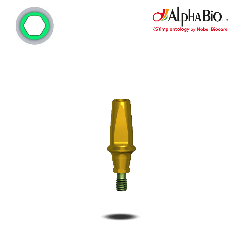 Esthetic Titan Abutment (CS) Esthetic Titan Abutment (CS)