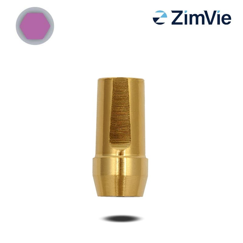 Biomet 3i Abutment (GingiHue-Pfosten) (Ext Hex, 3,4 mm) | 0° | GH: 2,0 mm | ohne