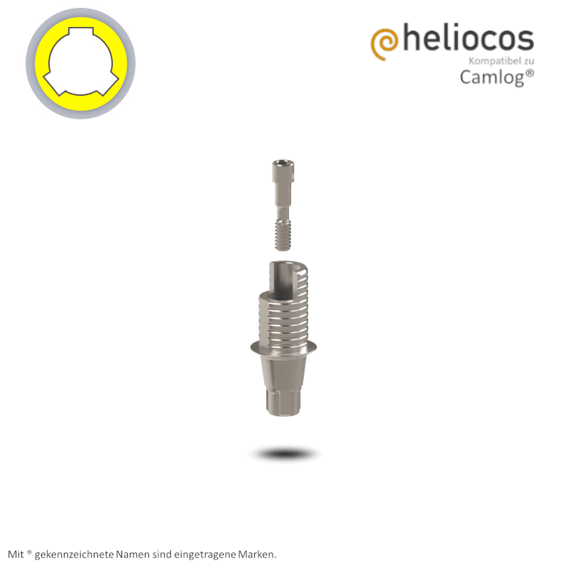 Conelog® Titanbasis Ø 3,8 mm | Höhe: 5,5 mm | mit Rotationsschutz Conelog® Titanbasis Ø 3,8 mm | Höhe: 5,5 mm | mit Rotationsschutz