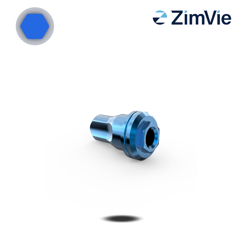 Biomet 3i Digitales Analog (Ext Hex, 4,1 mm)