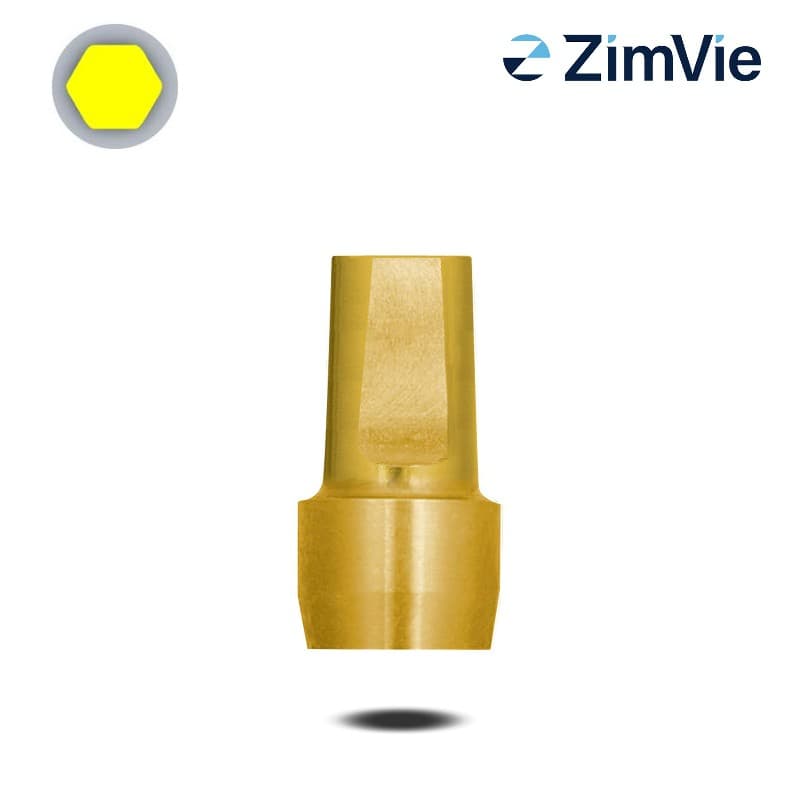Biomet 3i Abutment (GingiHue-Pfosten) (Ext Hex, 5,0 mm) | 0° | Ø 5,0 mm | GH: 4,0 mm Biomet 3i Abutment (GingiHue-Pfosten) (Ext Hex, 5,0 mm) | 0° | Ø 5,0 mm | GH: 4,0 mm