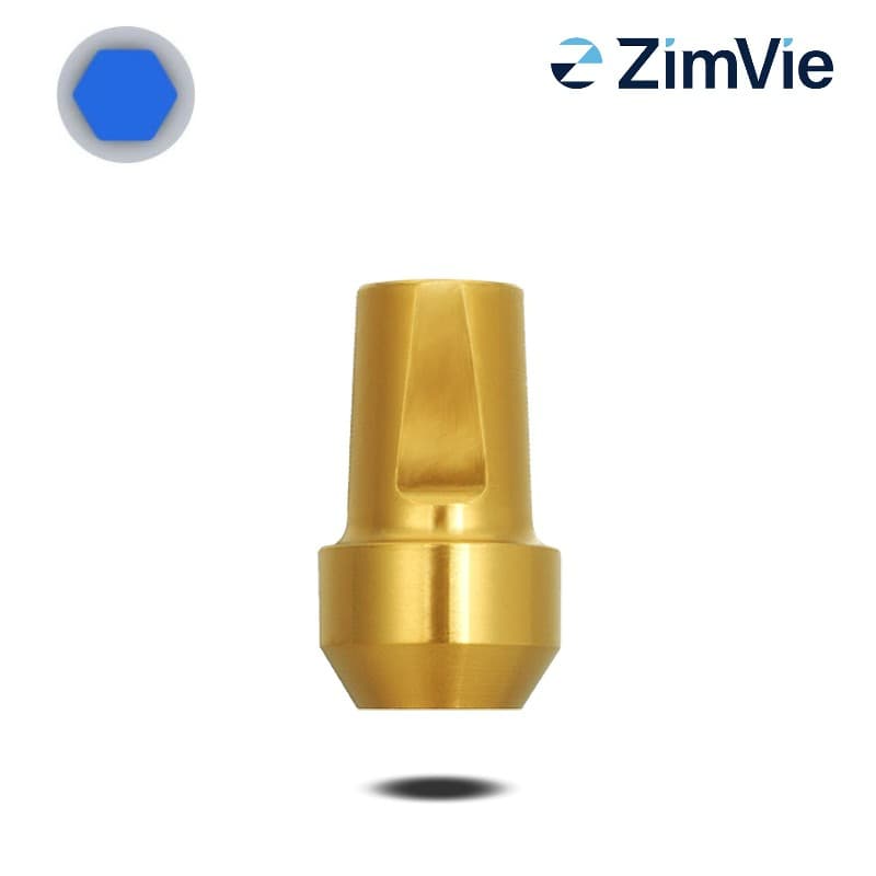 Biomet 3i Abutment (GingiHue-Pfosten) (Ext Hex, 4,1 mm) | 0° | Ø 6,0 mm | GH: 4,0 mm Biomet 3i Abutment (GingiHue-Pfosten) (Ext Hex, 4,1 mm) | 0° | Ø 6,0 mm | GH: 4,0 mm