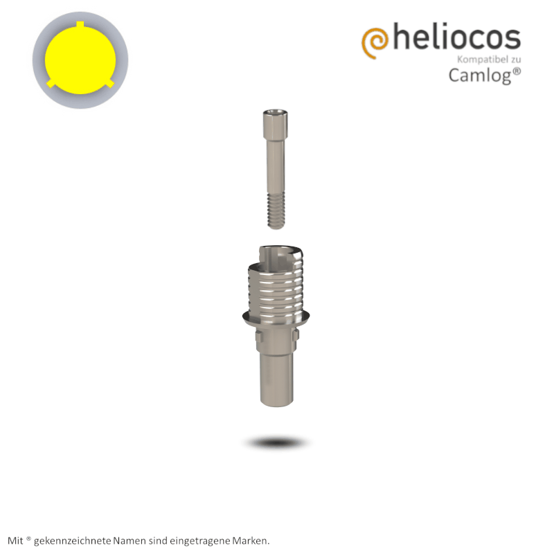 Camlog® Titanbasis Screw-Line/Root-Line2® Ø 3,8 mm | Höhe: 4,0 mm | mit Rotationsschutz