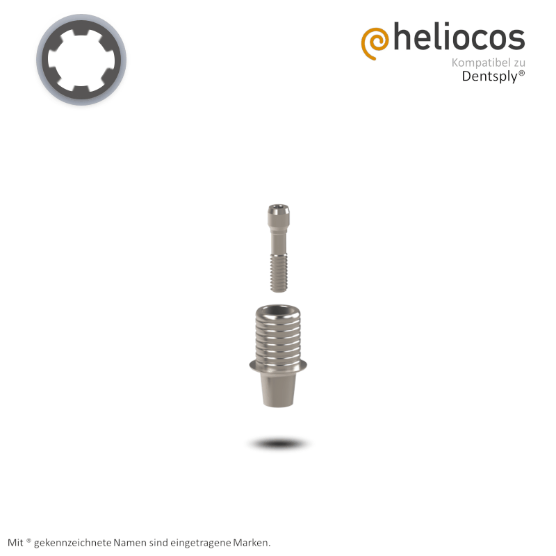 Dentsply® Titanbasis Ankylos® | Höhe: 4,0 mm | ohne Rotationsschutz Dentsply® Titanbasis Ankylos® | Höhe: 4,0 mm | ohne Rotationsschutz