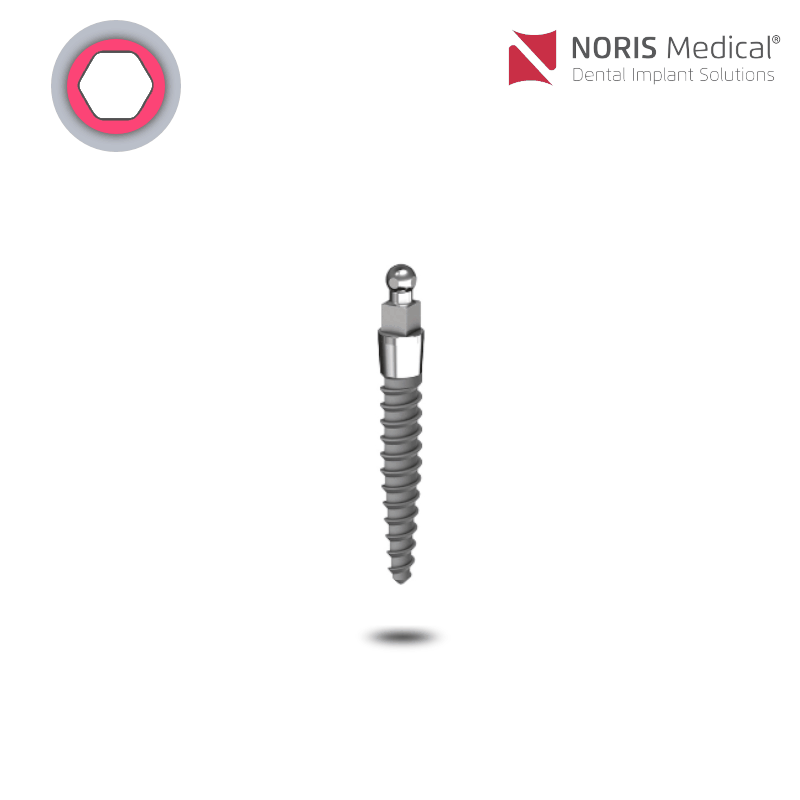 Noris Medical MBI Implantat | Ø 2,0 mm | Länge: 10,0 mm Noris Medical MBI Implantat | Ø 2,0 mm | Länge: 10,0 mm