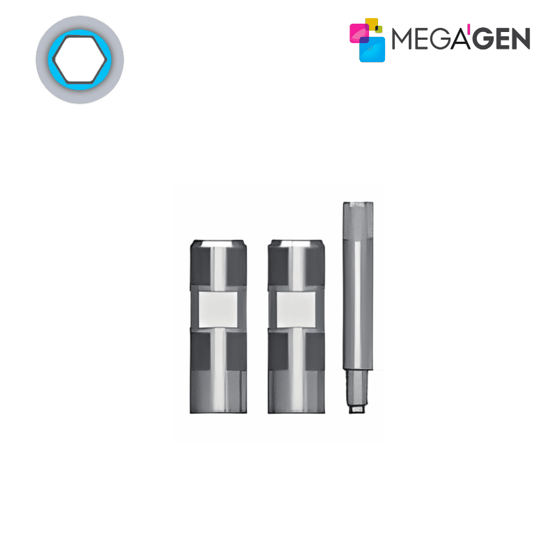 MegaGen Abformpfosten für Octa Abutment | Offene Abformung | Ø 4,0 mm | Höhe: 10,0 mm | ohne MegaGen Abformpfosten für Octa Abutment | Offene Abformung | Ø 4,0 mm | Höhe: 10,0 mm | ohne