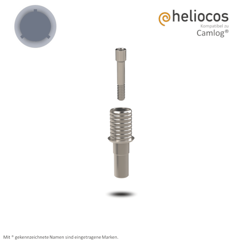 Camlog® Titanbasis Screw-Line/Root-Line2® Ø 3,3 mm | Höhe: 4,0 mm | ohne Rotationsschutz Camlog® Titanbasis Screw-Line/Root-Line2® Ø 3,3 mm | Höhe: 4,0 mm | ohne Rotationsschutz