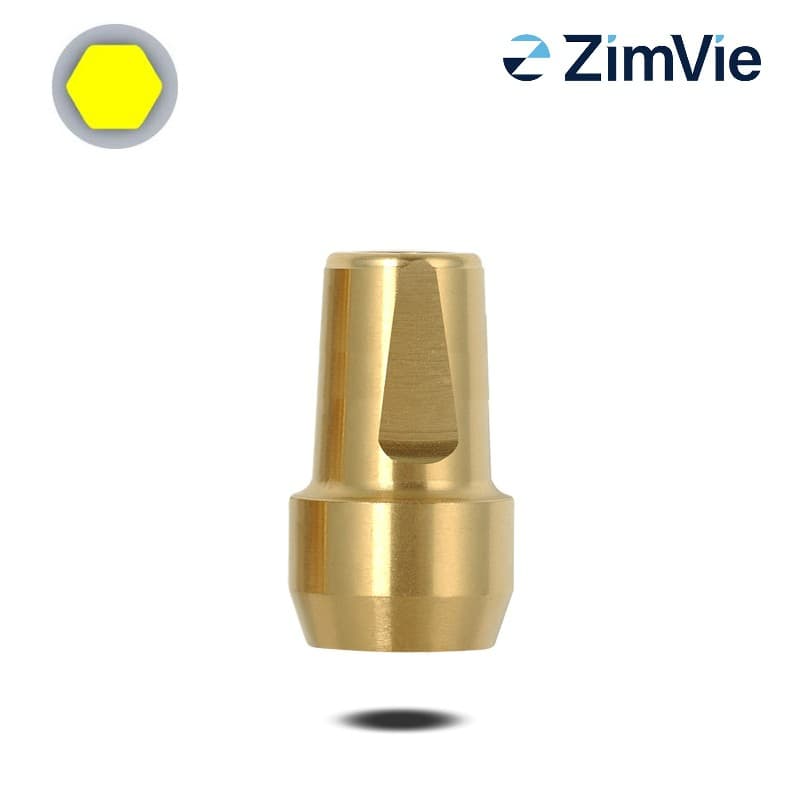 Biomet 3i Abutment (GingiHue-Pfosten) (Ext Hex, 5,0 mm) | 0° | Ø 6,0 mm | GH: 4,0 mm