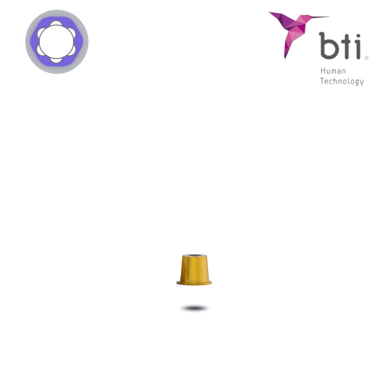 BTI Ästhetik Abutment für erweiterte MULTI-IM (Ø 3,0 mm - 3.0) BTI Ästhetik Abutment für erweiterte MULTI-IM (Ø 3,0 mm - 3.0)