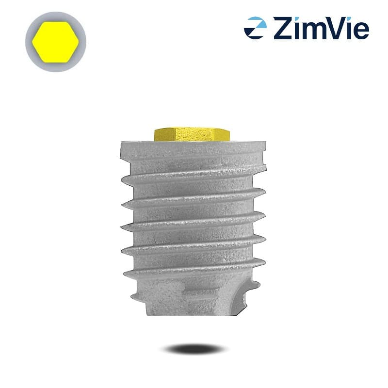 Biomet 3i Ø 5,0 mm T3 Implantate (Ext Hex, 5,0 mm) | Parallelwandig | Länge: 6,0 mm