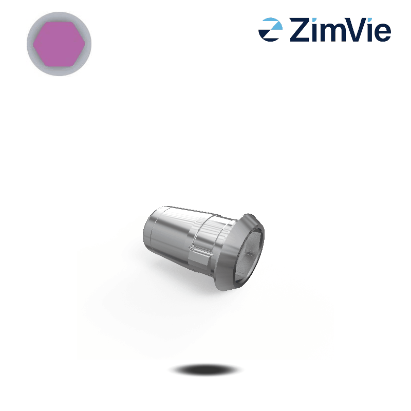 Biomet 3i GenTek/CEREC Ti-Base (Ext Hex, 3,4 mm) | mit Rotationsschutz