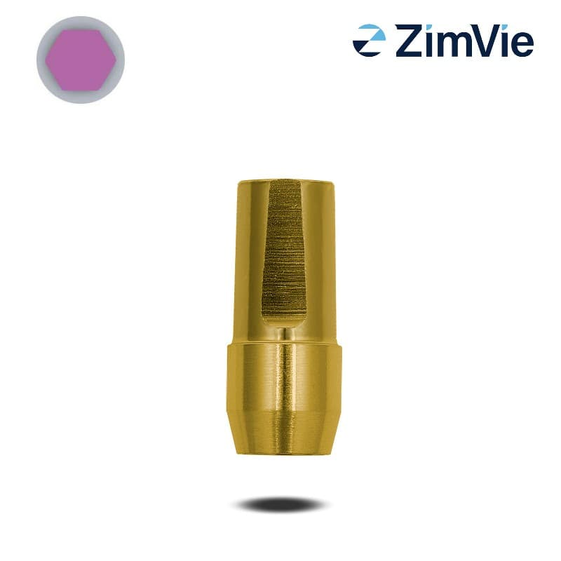 Biomet 3i Abutment (GingiHue-Pfosten) (Ext Hex, 3,4 mm) | 0° | GH: 4,0 mm | ohne