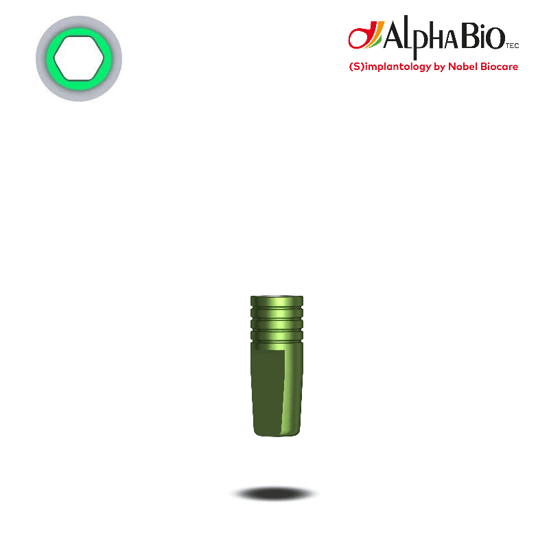 Nobel Biocare Digitales Laboranalog (CS) Nobel Biocare Digitales Laboranalog (CS)