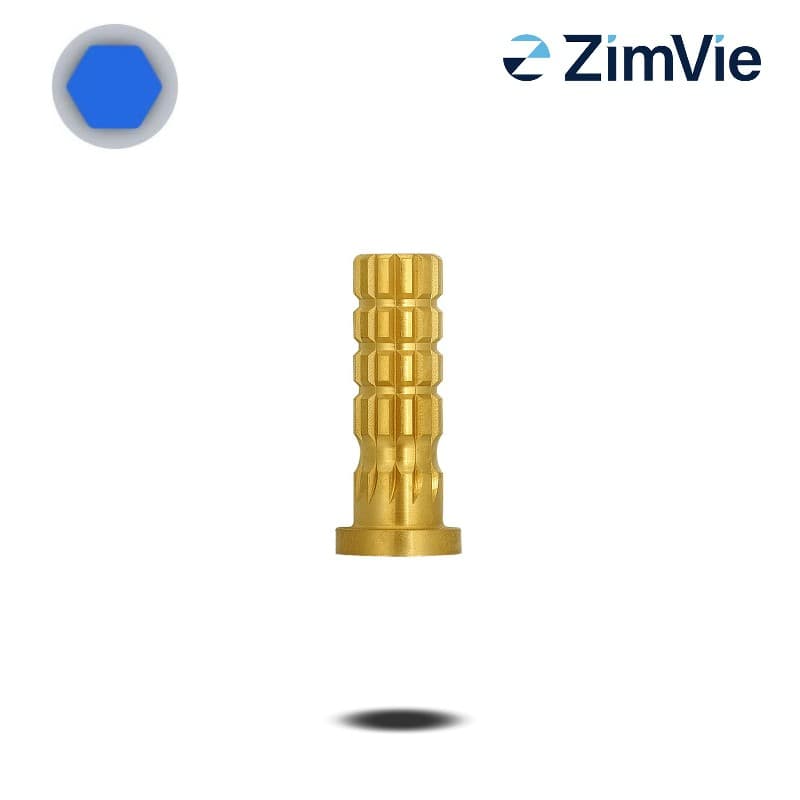Biomet 3i PreFormance Zylinderprovisorium (Ext Hex, 4,1 mm) | mit Rotationsschutz | Titan