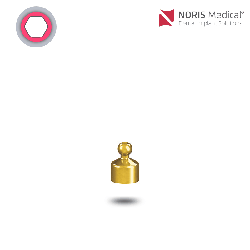 Noris Medical Vari-Connect Kugelkopfaufsatz | GH: 3,0 mm Noris Medical Vari-Connect Kugelkopfaufsatz | GH: 3,0 mm