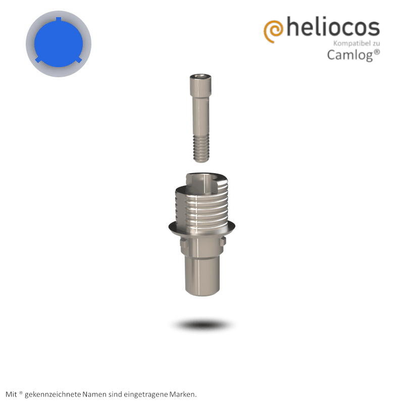 Camlog® Titanbasis Screw-Line/Root-Line2® Ø 5,0 mm | Höhe: 4,0 mm | mit Rotationsschutz Camlog® Titanbasis Screw-Line/Root-Line2® Ø 5,0 mm | Höhe: 4,0 mm | mit Rotationsschutz