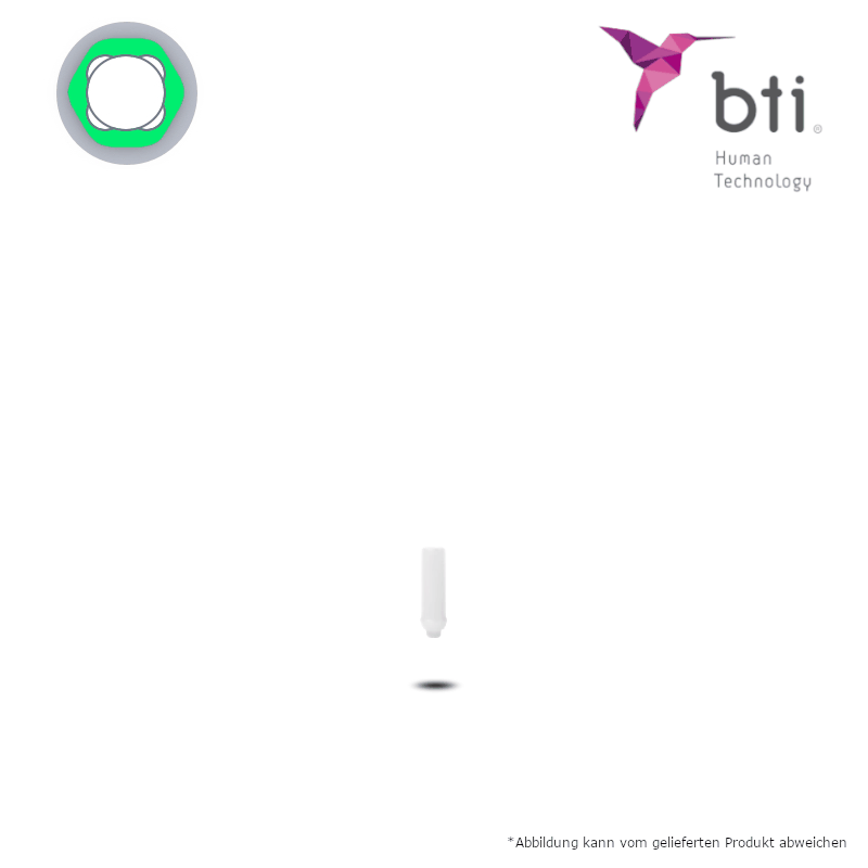 BTI UCLA-Abutment (Ø 5,5 mm - breit) BTI UCLA-Abutment (Ø 5,5 mm - breit)